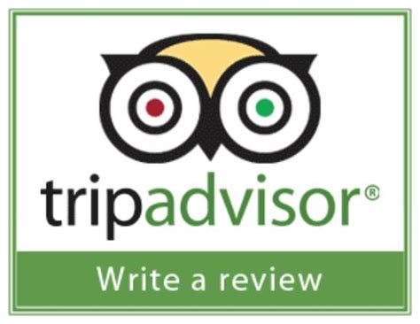 tripadvisor write a review uk tours